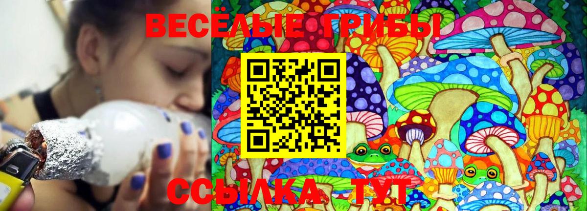 Галлюциногенные грибы Cubensis  Вход с VPN  Ленинск-Кузнецкий 