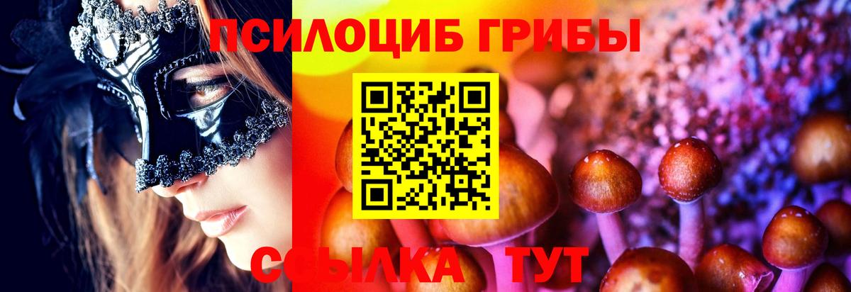 Псилоцибиновые грибы Psilocybine cubensis Ленинск-Кузнецкий